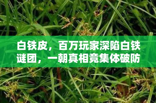 白铁皮，百万玩家深陷白铁谜团，一朝真相竟集体破防！