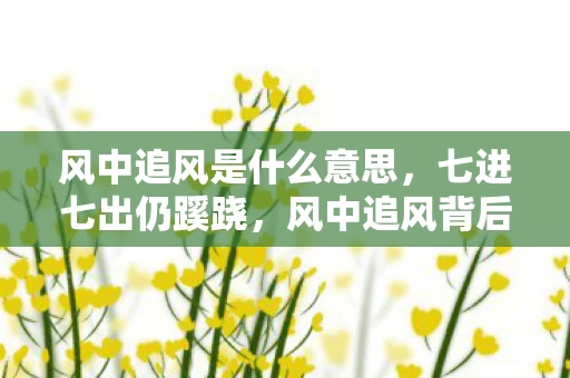 风中追风是什么意思,七进七出仍蹊跷,风中追风背后发凉的游戏真相 风中追风是什么意思,七进七出仍蹊跷,风中追风背后发凉的游戏真相