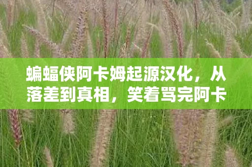 蝙蝠侠阿卡姆起源汉化,从落差到真相,笑着骂完阿卡姆起源,笑着笑着竟哭了 蝙蝠侠阿卡姆起源汉化,从落差到真相,笑着骂完阿卡姆起源,笑着笑着竟哭了