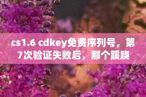 cs1.6 cdkey免费序列号，第7次验证失败后，那个蹊跷的CS1.6 CDKEY让我后背发凉