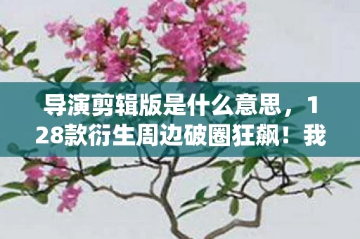 导演剪辑版是什么意思，128款衍生周边破圈狂飙！我的钱包竟以意想不到的方式成仙了！
