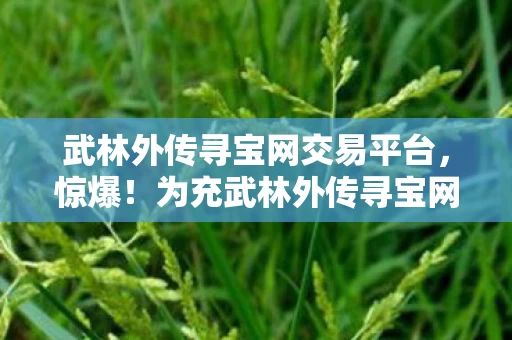 武林外传寻宝网交易平台，惊爆！为充武林外传寻宝网卖房800万，背后隐情吓你一跳！