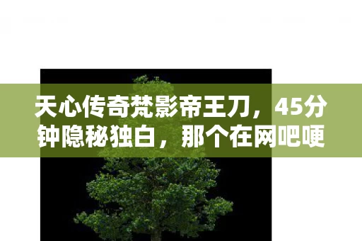天心传奇梵影帝王刀,45分钟隐秘独白,那个在网吧哽咽着通关天心传奇的少年,后来怎样了? 天心传奇梵影帝王刀,45分钟隐秘独白,那个在网吧哽咽着通关天心传奇的少年,后来怎样了?