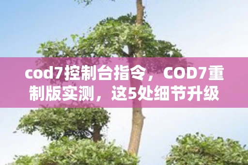 cod7控制台指令，COD7重制版实测，这5处细节升级让我直呼2027年FPS天花板稳了