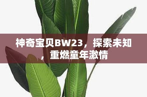 神奇宝贝BW23图片