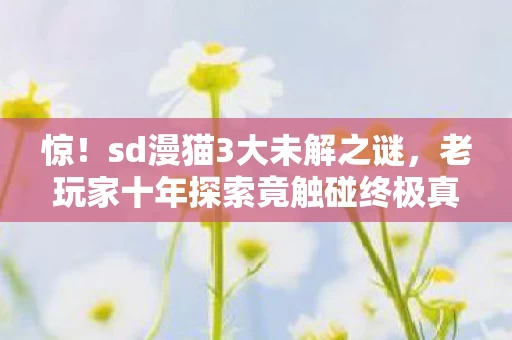 惊!sd漫猫3大未解之谜,老玩家十年探索竟触碰终极真相? 惊!sd漫猫3大未解之谜,老玩家十年探索竟触碰终极真相?