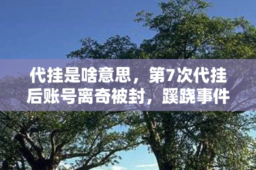 代挂是啥意思,第7次代挂后账号离奇被封,蹊跷事件背后真相让人后背发凉 代挂是啥意思,第7次代挂后账号离奇被封,蹊跷事件背后真相让人后背发凉