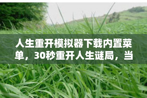 人生重开模拟器下载内置菜单,30秒重开人生谜局,当第1024次死亡时间定格在2027年清明 人生重开模拟器下载内置菜单,30秒重开人生谜局,当第1024次死亡时间定格在2027年清明