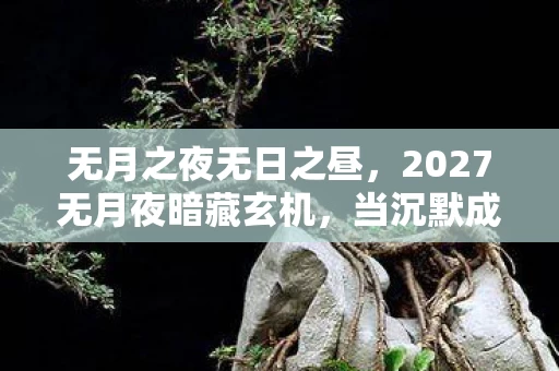 无月之夜无日之昼,2027无月夜暗藏玄机,当沉默成为通关密钥,这游戏究竟想教会我什么? 无月之夜无日之昼,2027无月夜暗藏玄机,当沉默成为通关密钥,这游戏究竟想教会我什么?