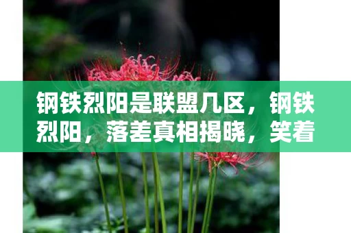 钢铁烈阳是联盟几区，钢铁烈阳，落差真相揭晓，笑着笑着哭了，退坑誓言成空谈