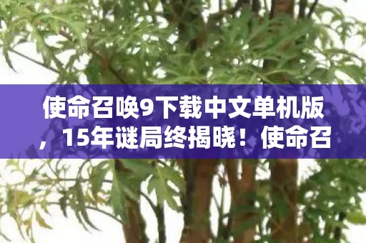使命召唤9下载中文单机版，15年谜局终揭晓！使命召唤9下载背后，泪目真相竟藏在这串死亡代码里