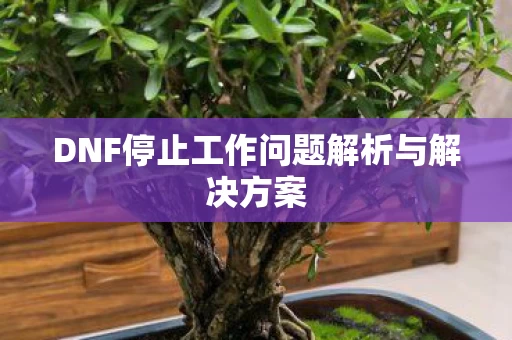 DNF停止工作问题解析与解决方案图片