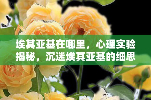 埃其亚基在哪里,心理实验揭秘,沉迷埃其亚基的细思极恐自我麻醉之旅 埃其亚基在哪里,心理实验揭秘,沉迷埃其亚基的细思极恐自我麻醉之旅