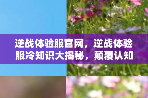 逆战体验服官网，逆战体验服冷知识大揭秘，颠覆认知的设计，让你目瞪口呆！