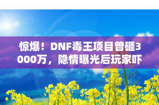惊爆!DNF毒王项目曾砸3000万,隐情曝光后玩家吓一跳! 惊爆!DNF毒王项目曾砸3000万,隐情曝光后玩家吓一跳!