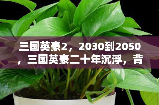 三国英豪2，2030到2050，三国英豪二十年沉浮，背后藏着怎样惊天秘密？