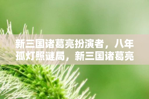 新三国诸葛亮扮演者，八年孤灯照谜局，新三国诸葛亮关服泪目终章