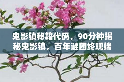 鬼影镇秘籍代码，90分钟揭秘鬼影镇，百年谜团终现端倪，泪目真相令人窒息