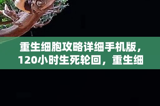 重生细胞攻略详细手机版,120小时生死轮回,重生细胞从灰烬到王座的泪目谜题 重生细胞攻略详细手机版,120小时生死轮回,重生细胞从灰烬到王座的泪目谜题