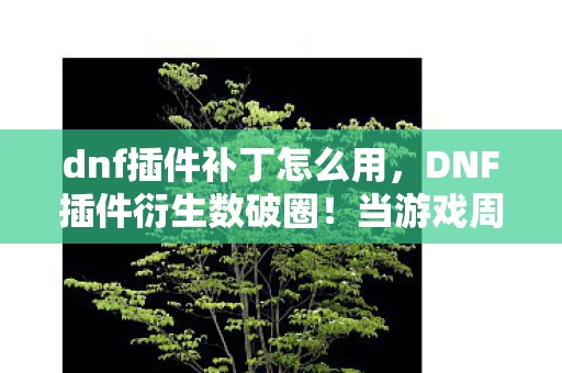 dnf插件补丁怎么用,DNF插件衍生数破圈!当游戏周边堆满家,败家玩家竟用这招投名状! dnf插件补丁怎么用,DNF插件衍生数破圈!当游戏周边堆满家,败家玩家竟用这招投名状!