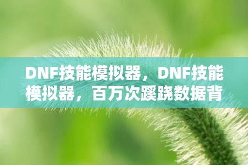 DNF技能模拟器，DNF技能模拟器，百万次蹊跷数据背后，我的后背早已发凉