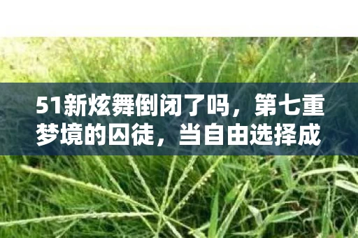 51新炫舞倒闭了吗，第七重梦境的囚徒，当自由选择成为命运枷锁的灵魂震颤