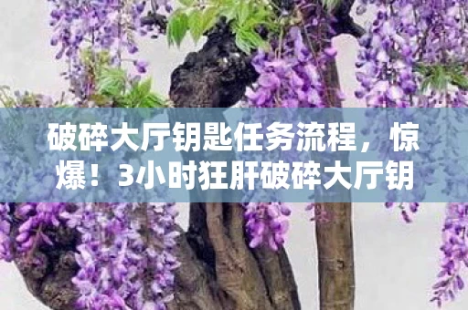 破碎大厅钥匙任务流程，惊爆！3小时狂肝破碎大厅钥匙，这酸爽体验谁懂啊！