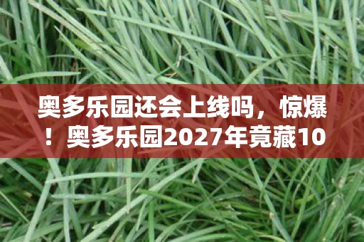 奥多乐园还会上线吗，惊爆！奥多乐园2027年竟藏10大未解之谜，你敢来揭秘吗？
