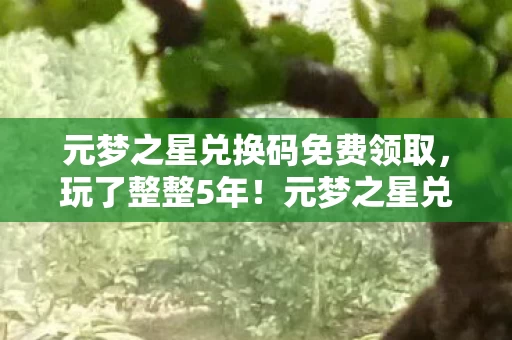 元梦之星兑换码免费领取，玩了整整5年！元梦之星兑换码大揭秘，选哪个才不亏？