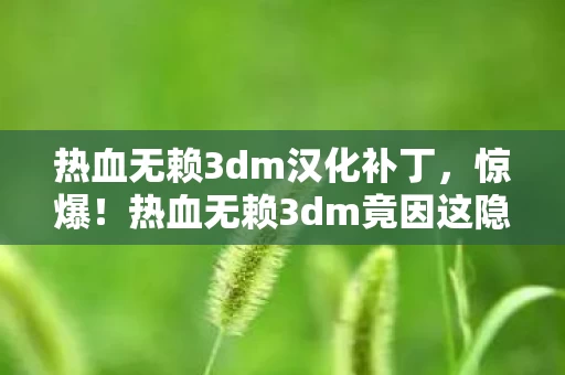 热血无赖3dm汉化补丁，惊爆！热血无赖3dm竟因这隐情砍玩法，1.2亿投资差点打水漂，吓一跳！