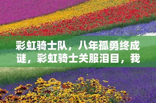 彩虹骑士队,八年孤勇终成谜,彩虹骑士关服泪目,我失去了什么? 彩虹骑士队,八年孤勇终成谜,彩虹骑士关服泪目,我失去了什么?
