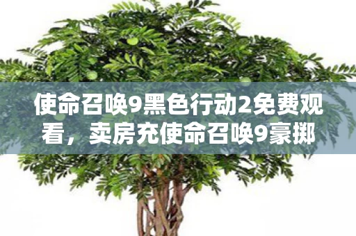 使命召唤9黑色行动2免费观看，卖房充使命召唤9豪掷80万！离婚协议藏惊天隐情，吓你一跳！