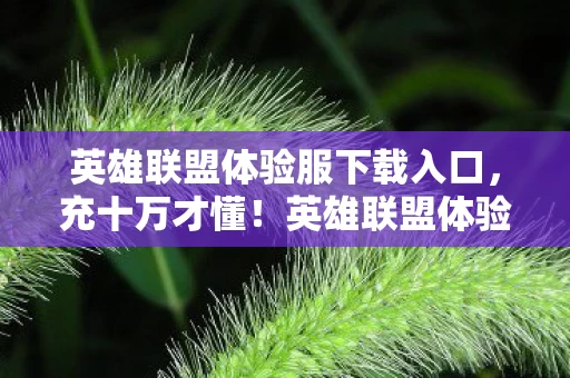 英雄联盟体验服下载入口，充十万才懂！英雄联盟体验服氪金陷阱，我的钱包在哭，策划在笑！