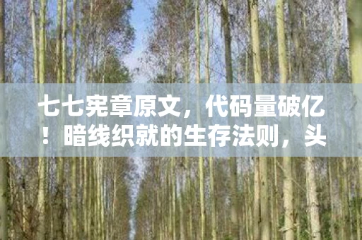 七七宪章原文,代码量破亿!暗线织就的生存法则,头皮发麻的数字人生自白 七七宪章原文,代码量破亿!暗线织就的生存法则,头皮发麻的数字人生自白
