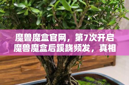 魔兽魔盒官网，第7次开启魔兽魔盒后蹊跷频发，真相揭晓时后背冷汗直冒！