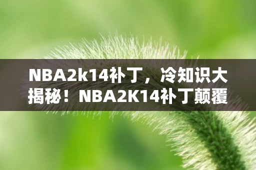 NBA2k14补丁，冷知识大揭秘！NBA2K14补丁颠覆认知，老玩家目瞪口呆自打脸