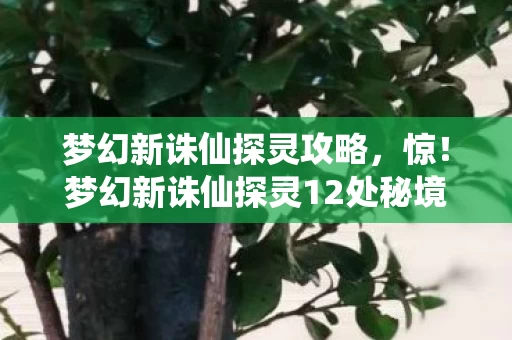 梦幻新诛仙探灵攻略，惊！梦幻新诛仙探灵12处秘境，背后竟藏着这般玄机？
