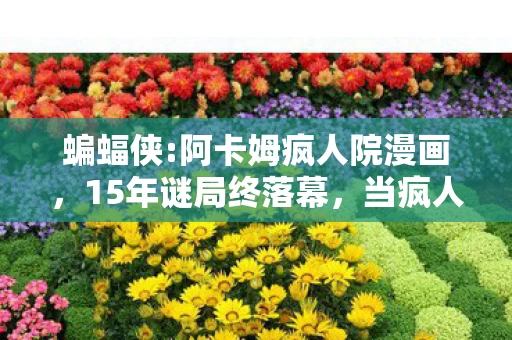 蝙蝠侠:阿卡姆疯人院漫画，15年谜局终落幕，当疯人院的钥匙锈蚀在掌心，泪目