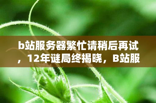 b站服务器繁忙请稍后再试，12年谜局终揭晓，B站服务器如何用代码编织千万人的泪目青春？