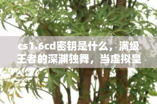 cs1.6cd密钥是什么,满级王者的深渊独舞,当虚拟皇冠压碎现实脊梁的悖论人生 cs1.6cd密钥是什么,满级王者的深渊独舞,当虚拟皇冠压碎现实脊梁的悖论人生