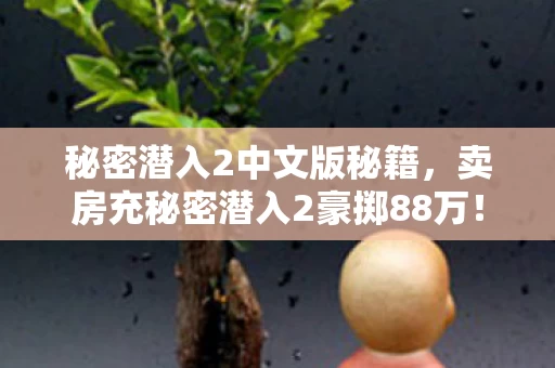 秘密潜入2中文版秘籍,卖房充秘密潜入2豪掷88万!离婚协议藏惊天隐情,吓你一跳! 秘密潜入2中文版秘籍,卖房充秘密潜入2豪掷88万!离婚协议藏惊天隐情,吓你一跳!