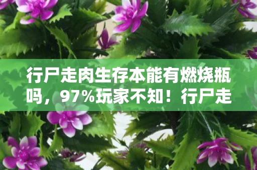 行尸走肉生存本能有燃烧瓶吗,97%玩家不知!行尸走肉生存本能竟在主机端废了? 行尸走肉生存本能有燃烧瓶吗,97%玩家不知!行尸走肉生存本能竟在主机端废了?