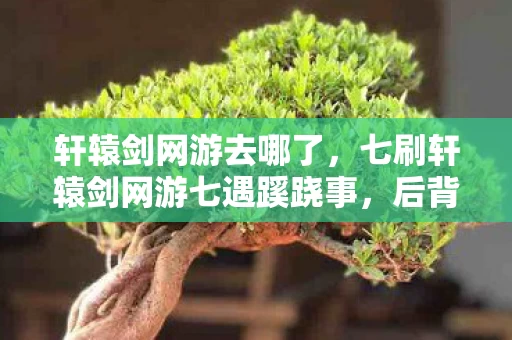 轩辕剑网游去哪了，七刷轩辕剑网游七遇蹊跷事，后背发凉才知被游戏耍了七年