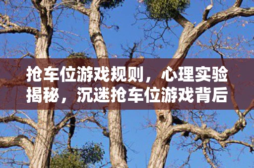 抢车位游戏规则，心理实验揭秘，沉迷抢车位游戏背后的多巴胺陷阱，细思极恐！
