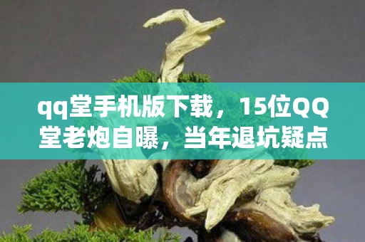 qq堂手机版下载,15位QQ堂老炮自曝,当年退坑疑点重重,如今回忆竟绷不住了! qq堂手机版下载,15位QQ堂老炮自曝,当年退坑疑点重重,如今回忆竟绷不住了!