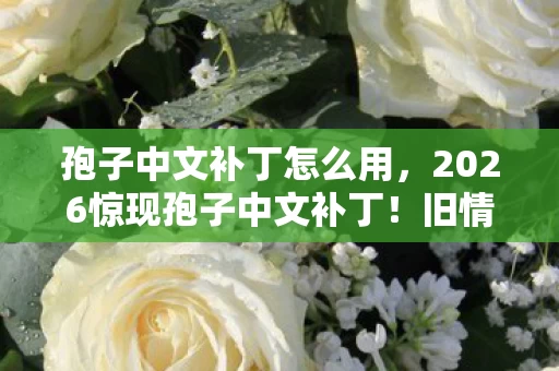 孢子中文补丁怎么用,2026惊现孢子中文补丁!旧情伏笔揭开,鼻子一酸忆往昔 孢子中文补丁怎么用,2026惊现孢子中文补丁!旧情伏笔揭开,鼻子一酸忆往昔
