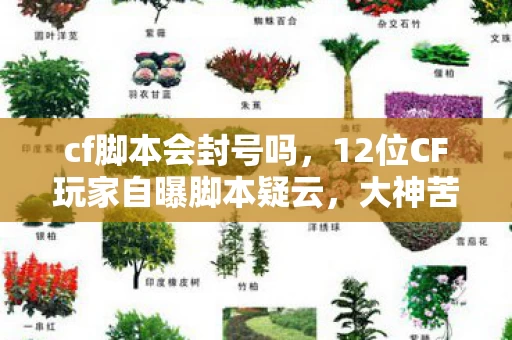 cf脚本会封号吗，12位CF玩家自曝脚本疑云，大神苦笑萌新懵圈，这操作真绷不住了！