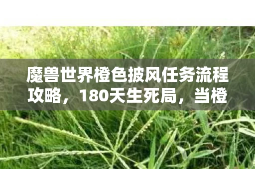 魔兽世界橙色披风任务流程攻略,180天生死局,当橙披任务链成为艾泽拉斯的电子墓碑 魔兽世界橙色披风任务流程攻略,180天生死局,当橙披任务链成为艾泽拉斯的电子墓碑