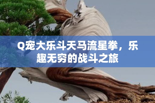 Q宠大乐斗天马流星拳图片