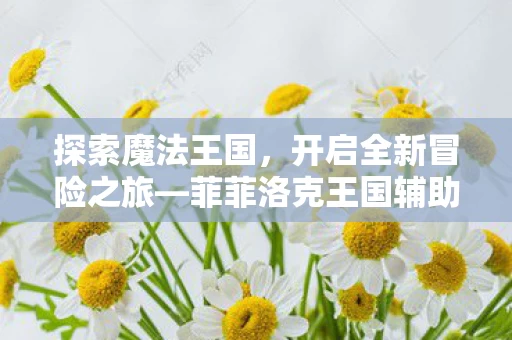 菲菲洛克王国辅助最新版图片